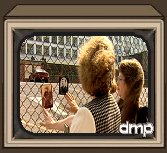 CLICK TO VIEW FULL-SIZE